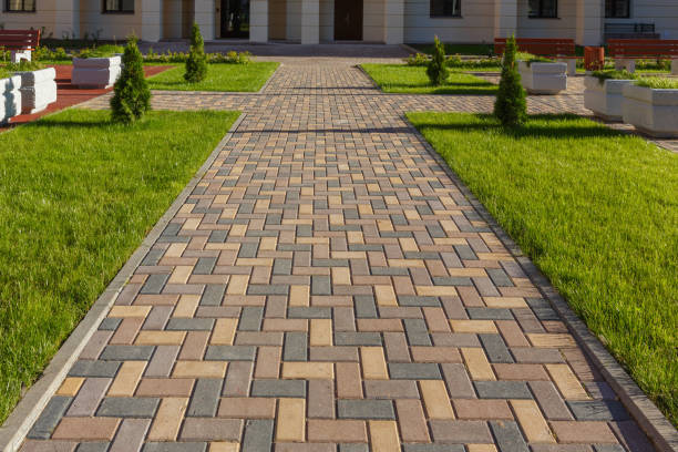 Best Local Driveway Pavers  in Lantana, TX